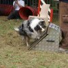 foire-haricots 2011-09-17et18